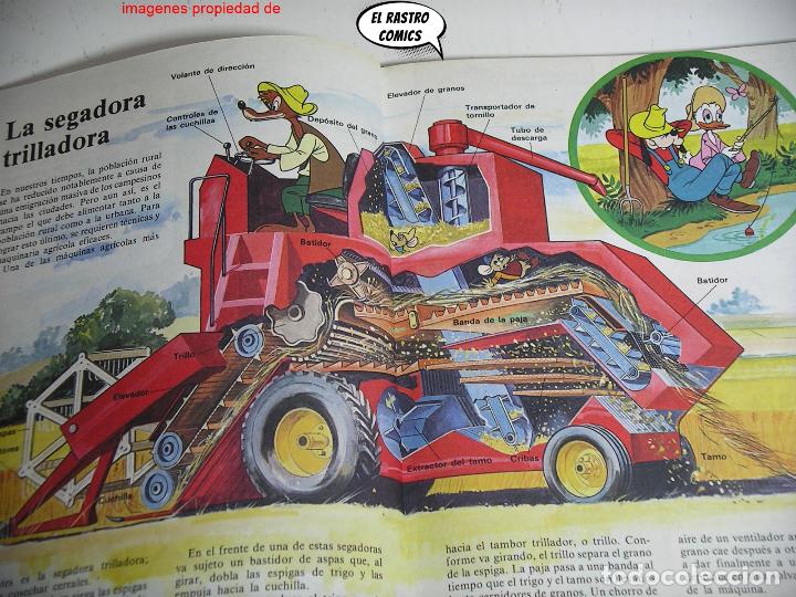 Libros de segunda mano: C&oacute;mo funciona, En el campo, ed. Montena 1984, Walt Disney - Foto 4
