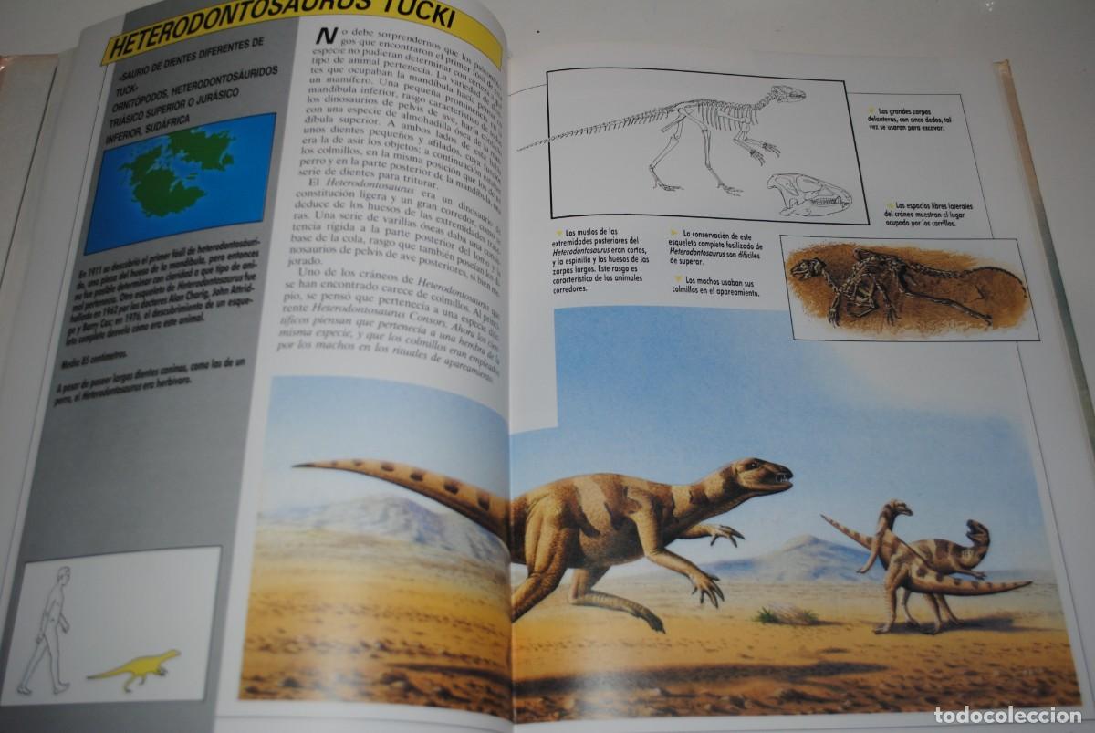 Libros de segunda mano: ENCICLOPEDIA ILUSTRADA DE LOS DINOSAURIOS - EDICIONES DEL PRADO - Foto 2