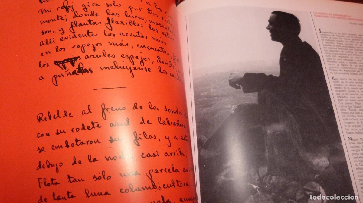 Libros de segunda mano: DOCUMENTA- MIGUEL HERNANDEZ -1985. GENERALITAT VALENCIANA 91 PP. RUSTICA. - Foto 5