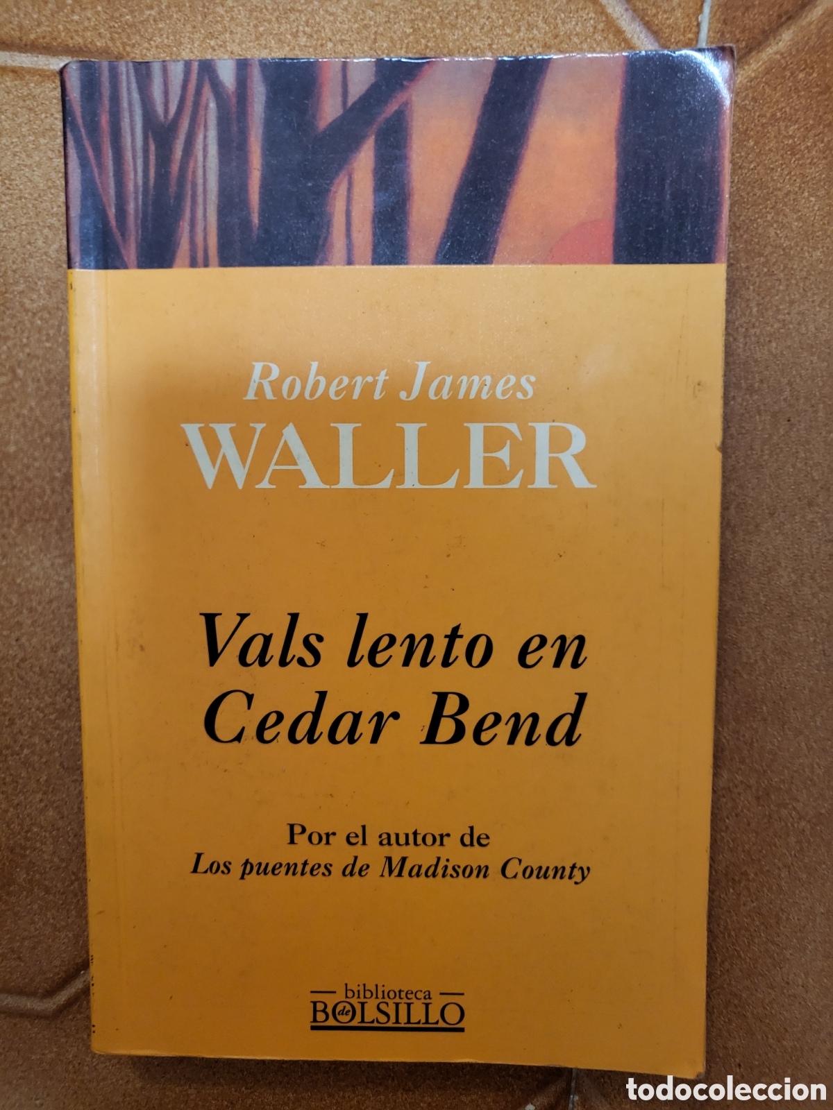 Libros de segunda mano: VALS LENTO EN CEDAR BEND - ROBERT JAMES WALLER - (1995) - Foto 1