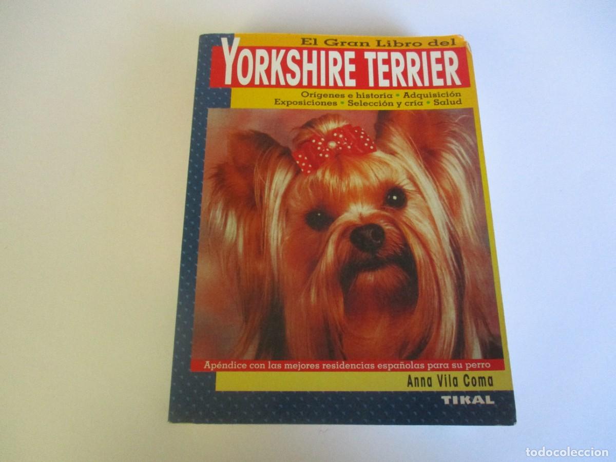 Libros de segunda mano: ANNA VILA COMA Yorkshire terrier W20008 - Foto 1