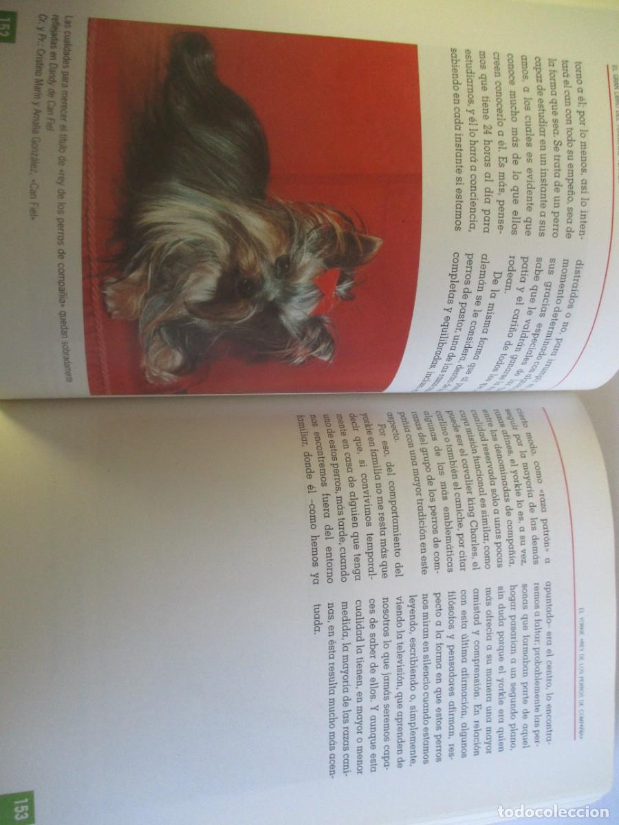 Libros de segunda mano: ANNA VILA COMA Yorkshire terrier W20008 - Foto 3
