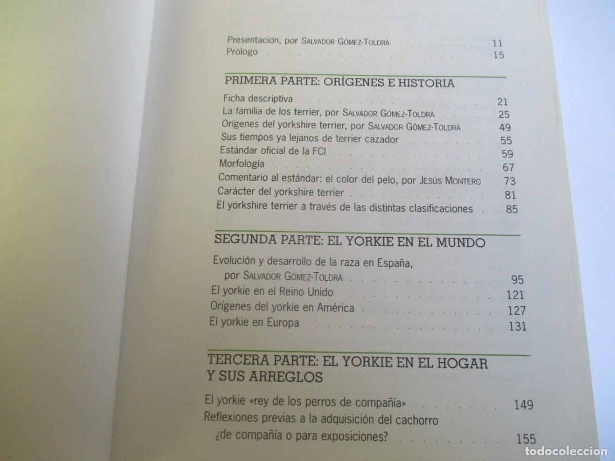 Libros de segunda mano: ANNA VILA COMA Yorkshire terrier W20008 - Foto 5