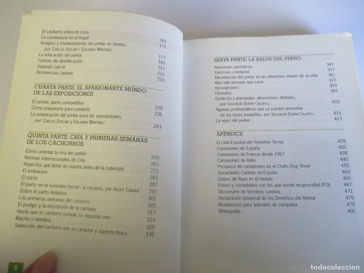 Libros de segunda mano: ANNA VILA COMA Yorkshire terrier W20008 - Foto 6