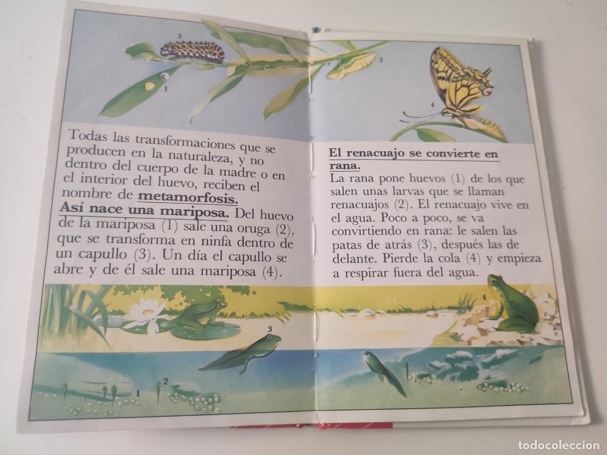Libros de segunda mano: El nacimiento de un ni&ntilde;o. Altea Benjam&iacute;n - Foto 5