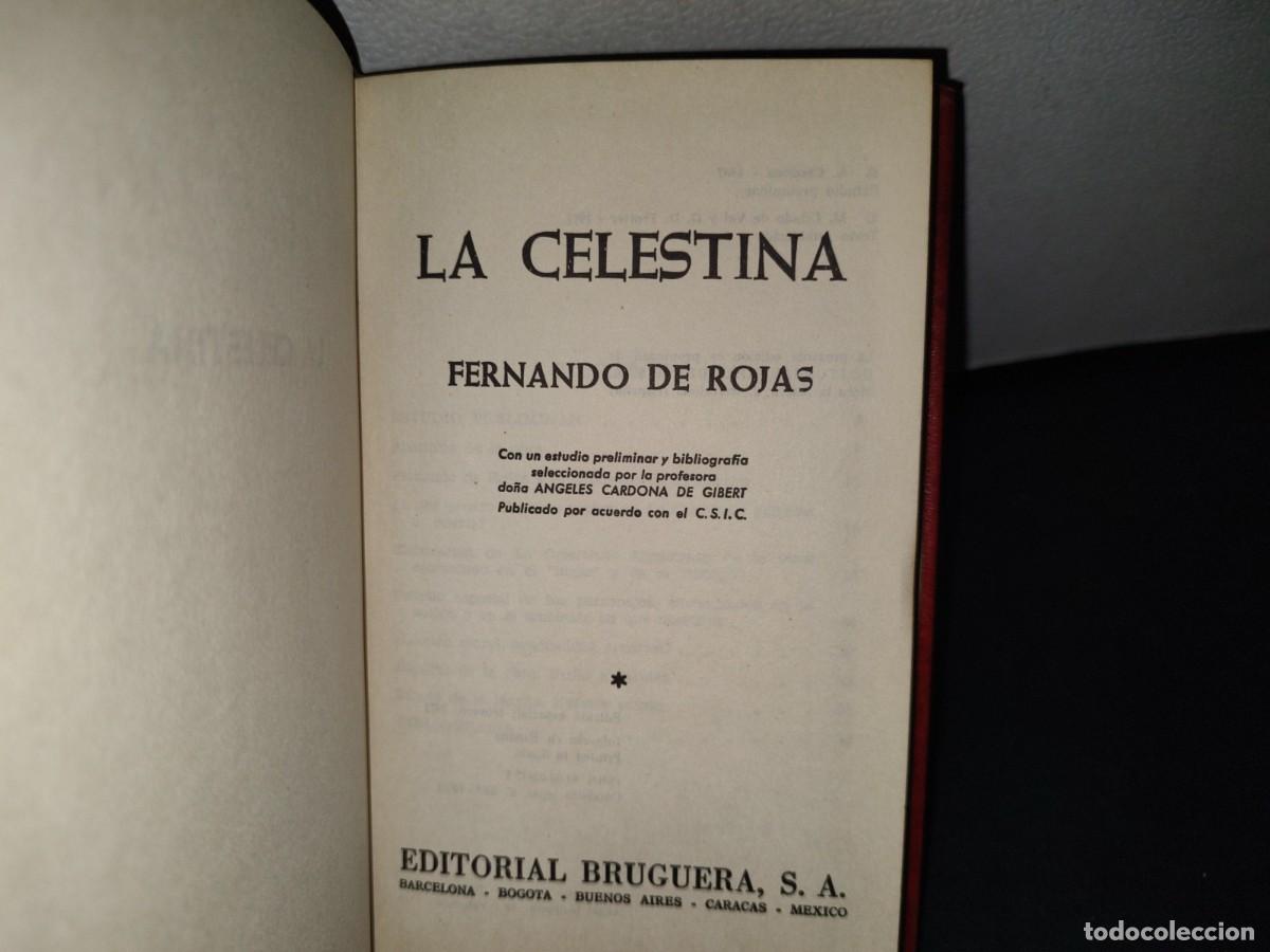 Libros de segunda mano: 168- LA CELESTINA - FERNANDO DE ROJAS - Foto 3