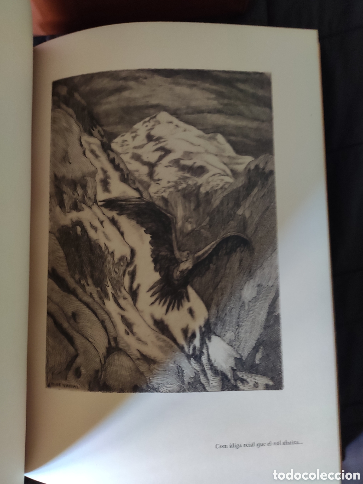Libros de segunda mano: LATL&Agrave;NTIDA / CANIG&Oacute;. JACINT VERDAGUER. MILLENIUM LIBER. - Foto 7