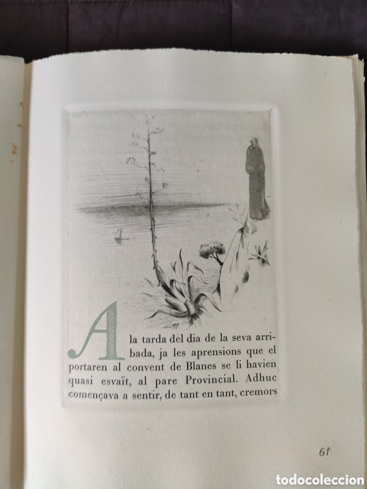 Libros de segunda mano: LES COSES BENIGNES. JOAQUIM RUYRA / JAUME PLA - Foto 3