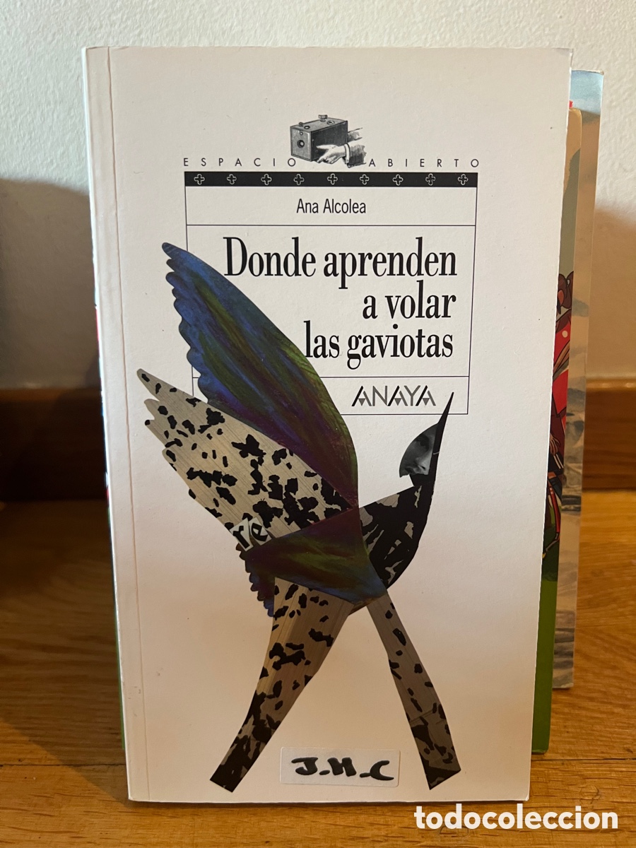 Libros de segunda mano: Donde aprenden a volar las gaviotas Ana Alcolea - Foto 1