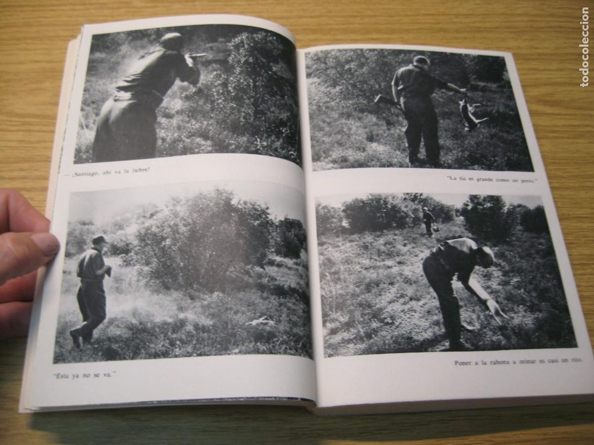 Libros de segunda mano: MIGUEL DELIBES. EL LIBRO DE LA CAZA MENOR. EDICIONES MESTIZO. 1973 - Foto 7
