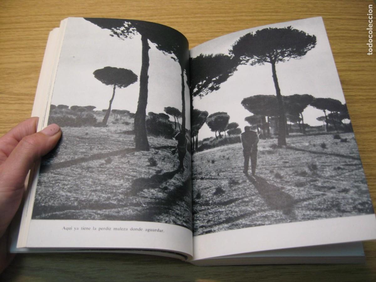 Libros de segunda mano: MIGUEL DELIBES. EL LIBRO DE LA CAZA MENOR. EDICIONES MESTIZO. 1973 - Foto 8