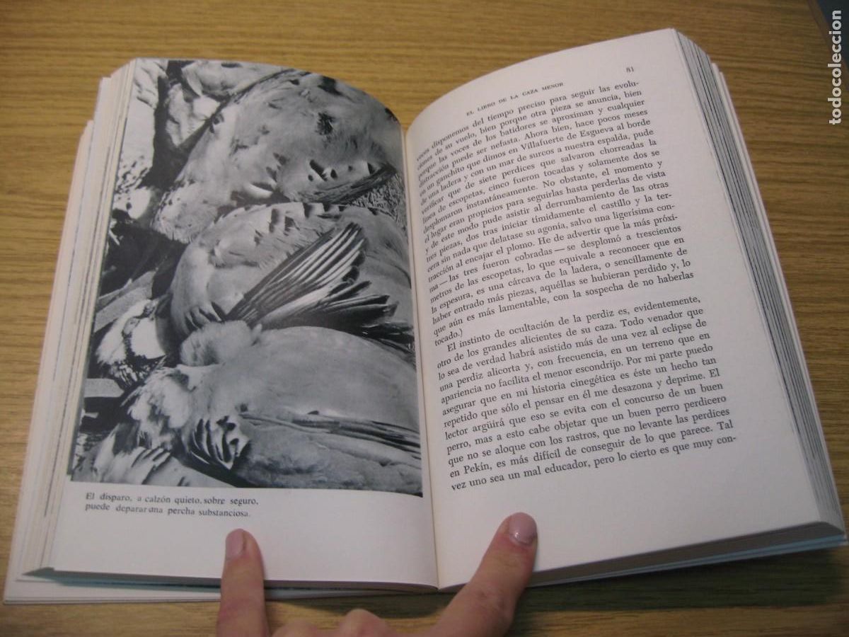 Libros de segunda mano: MIGUEL DELIBES. EL LIBRO DE LA CAZA MENOR. EDICIONES MESTIZO. 1973 - Foto 9