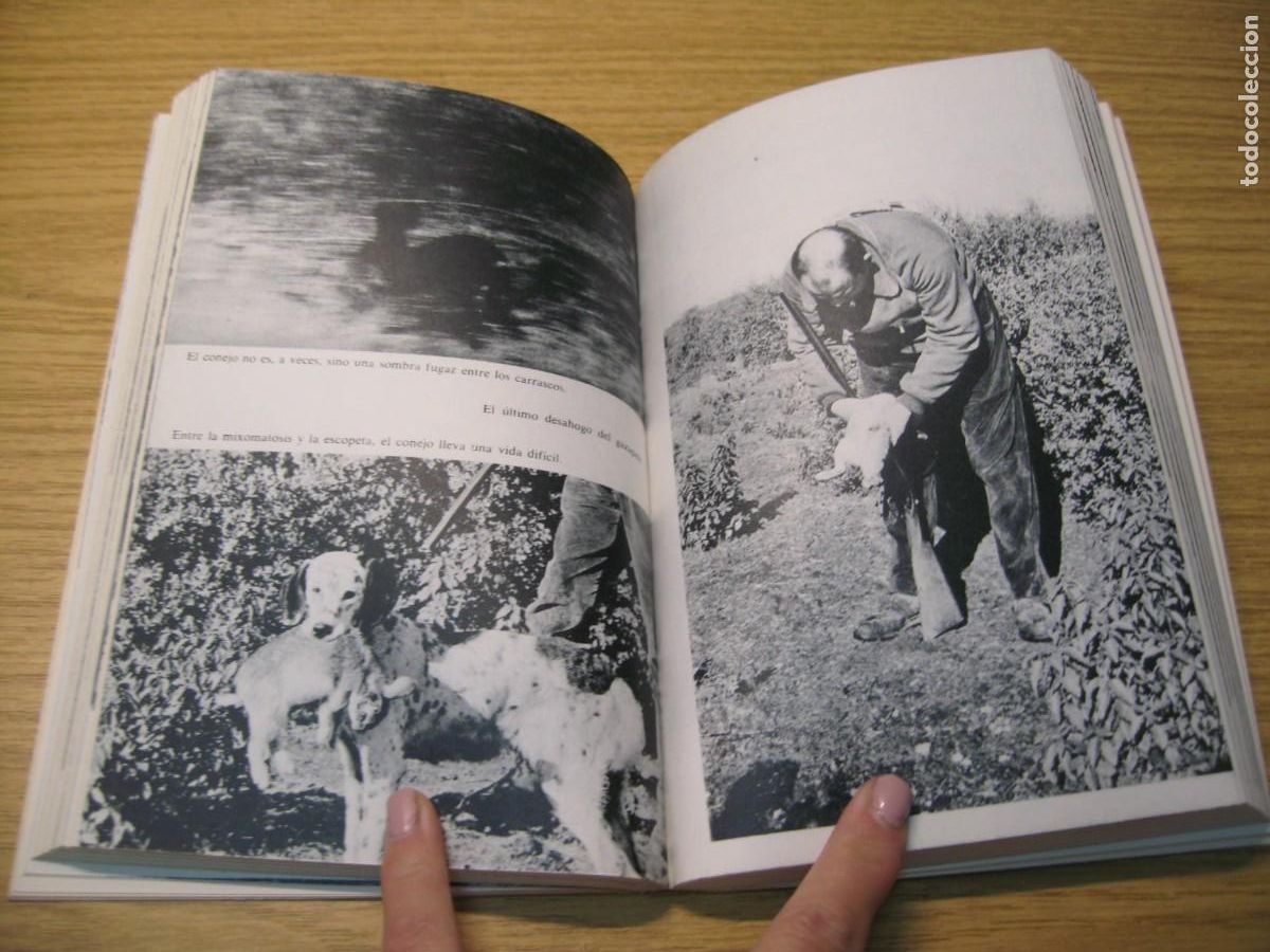 Libros de segunda mano: MIGUEL DELIBES. EL LIBRO DE LA CAZA MENOR. EDICIONES MESTIZO. 1973 - Foto 10