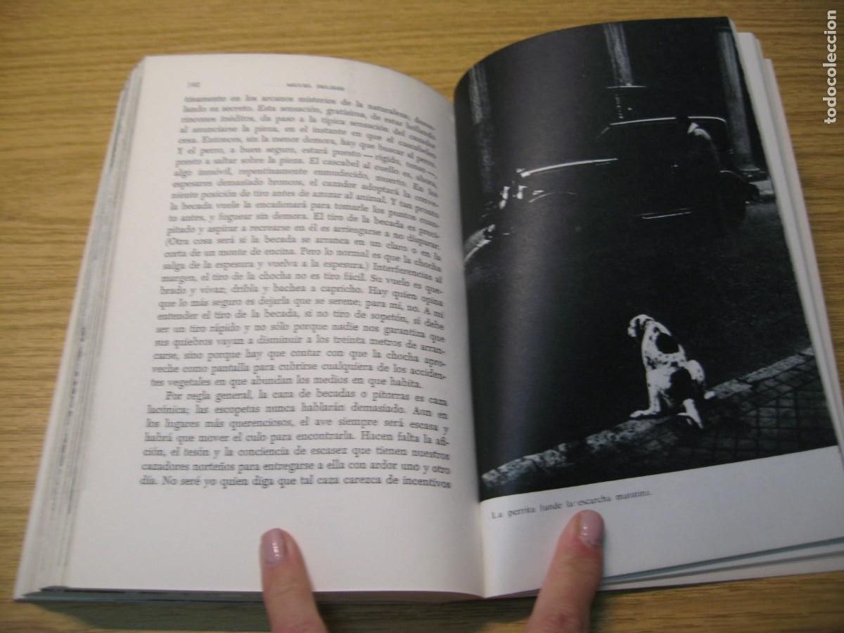 Libros de segunda mano: MIGUEL DELIBES. EL LIBRO DE LA CAZA MENOR. EDICIONES MESTIZO. 1973 - Foto 13