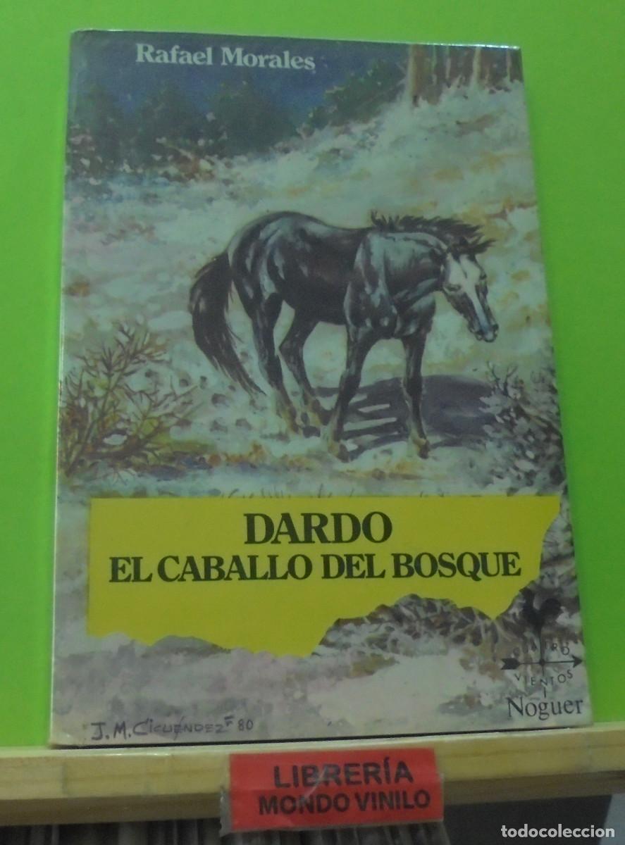 Libros de segunda mano: Dardo el caballo del bosque. Rafael Morales - Foto 1