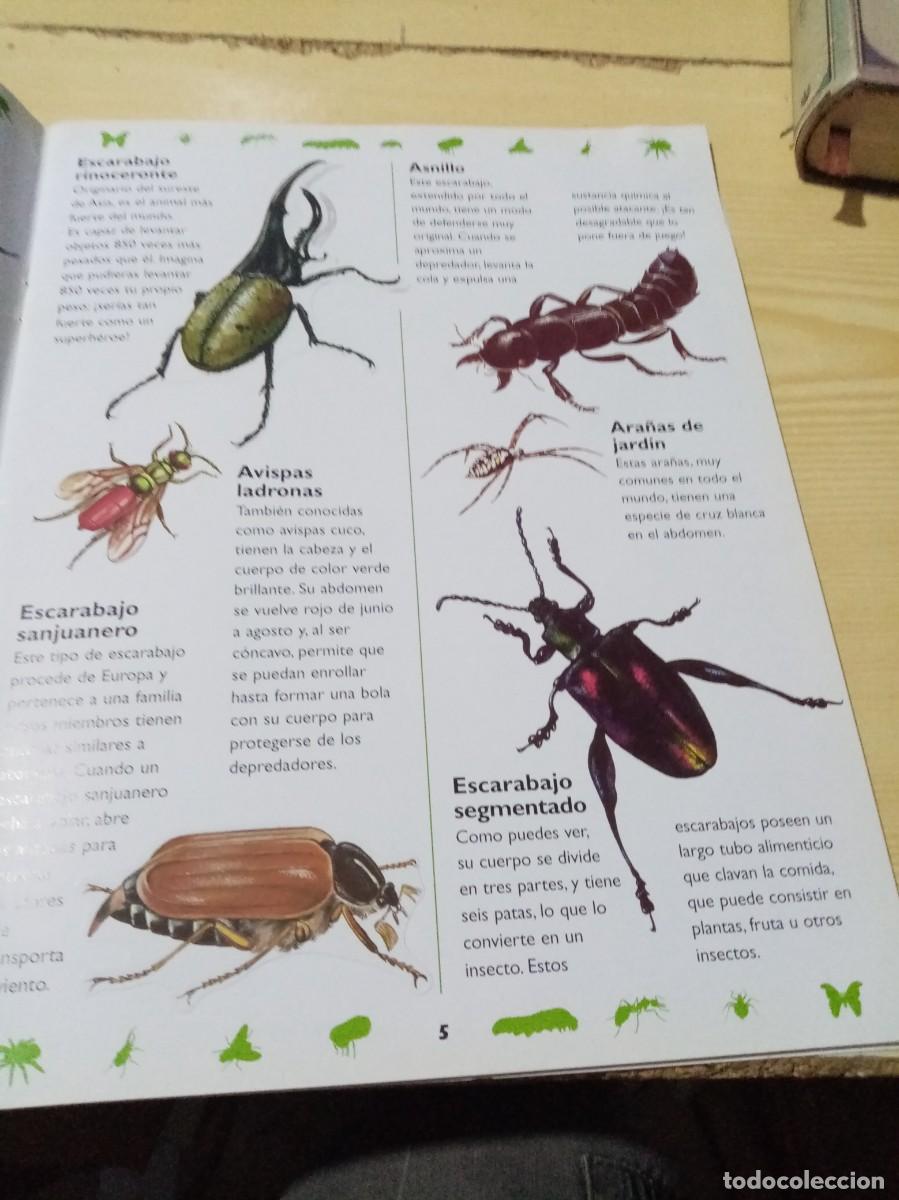 Libros de segunda mano: PEGAT&Aacute;STICOS. MINI MONSTRUOS. LIBRO DE PEGATINAS. SUSAETA. EST4B4 - Foto 4