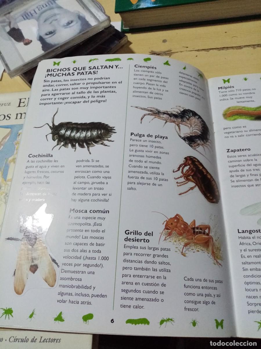 Libros de segunda mano: PEGAT&Aacute;STICOS. MINI MONSTRUOS. LIBRO DE PEGATINAS. SUSAETA. EST4B4 - Foto 5