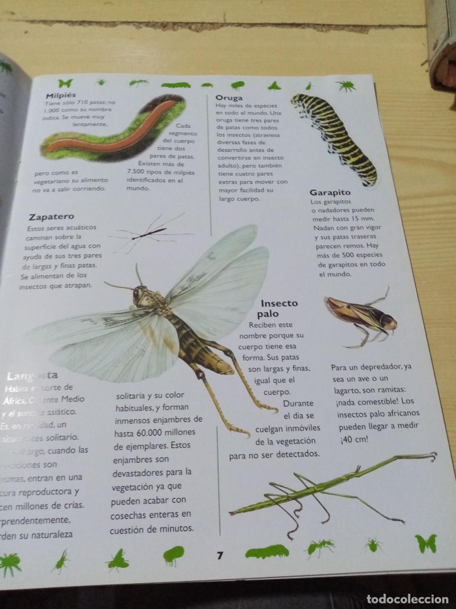 Libros de segunda mano: PEGAT&Aacute;STICOS. MINI MONSTRUOS. LIBRO DE PEGATINAS. SUSAETA. EST4B4 - Foto 6