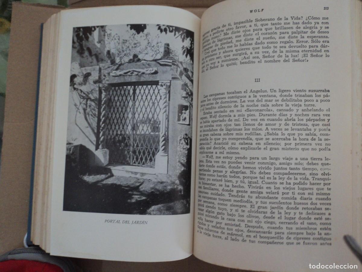 Libros de segunda mano: La Historia de San Michele - Munthe - Foto 7
