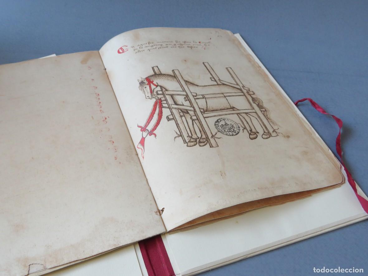 Libros de segunda mano: LIBRO DE ALBEYTERIA. MANUEL D&Iacute;AZ. - Foto 6