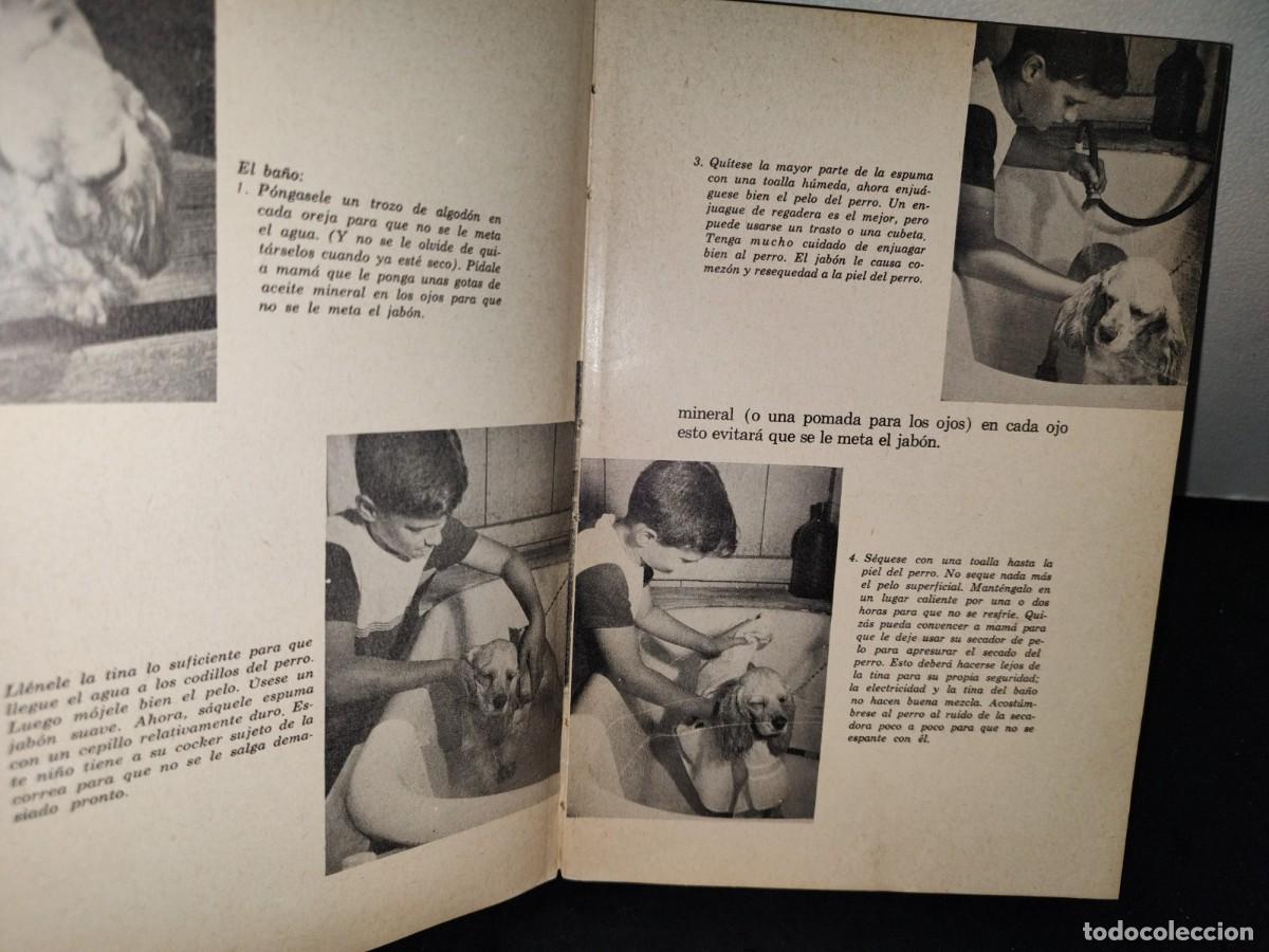 Libros de segunda mano: 19- CUIDADO Y EDUCACI&Oacute;N DEL PERRO - LEE DUNCAN - 1960 - Foto 9