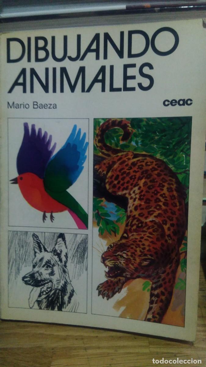 Libros de segunda mano: DIBUJANDO ANIMALES, MARIO BAEZA, ED. CEAC - Foto 1