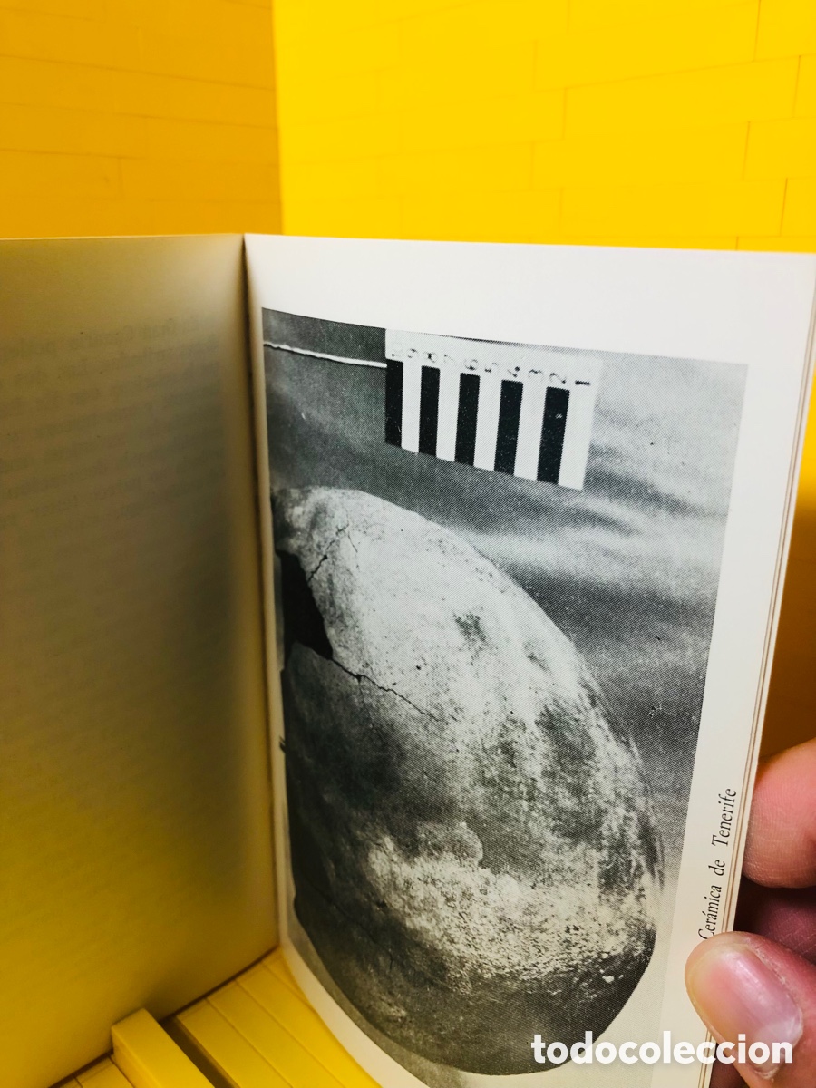 Libros de segunda mano: LAS CER&Aacute;MICAS ABOR&Iacute;GENES CANARIAS ● ● 1980 ● RAFAEL GONZALEZ ANT&Oacute;N - Foto 7