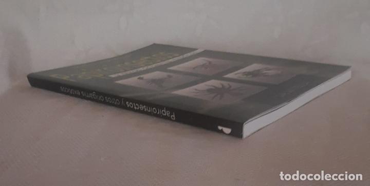 Libros de segunda mano: PAPIROINSECTOS (PAPIROFLEXIA) - MANUEL SIRGO &Aacute;LVAREZ 2004. - Foto 2