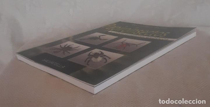 Libros de segunda mano: PAPIROINSECTOS (PAPIROFLEXIA) - MANUEL SIRGO &Aacute;LVAREZ 2004. - Foto 3
