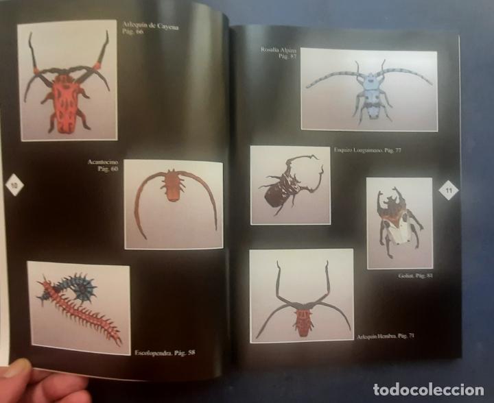 Libros de segunda mano: PAPIROINSECTOS (PAPIROFLEXIA) - MANUEL SIRGO &Aacute;LVAREZ 2004. - Foto 7