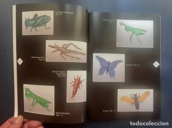 Libros de segunda mano: PAPIROINSECTOS (PAPIROFLEXIA) - MANUEL SIRGO &Aacute;LVAREZ 2004. - Foto 8