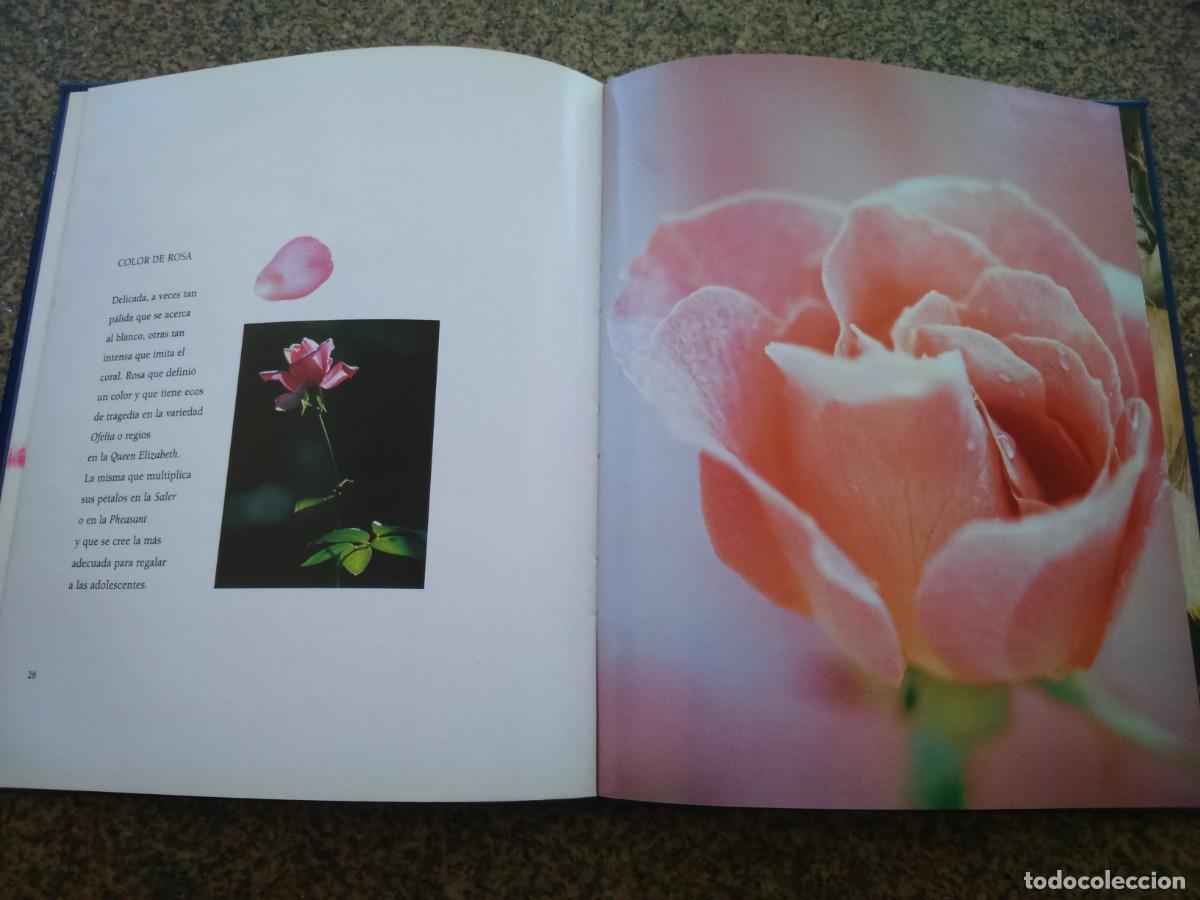 Libros de segunda mano: EL LIBRO DE LA ROSA -- 1997 -- - Foto 2