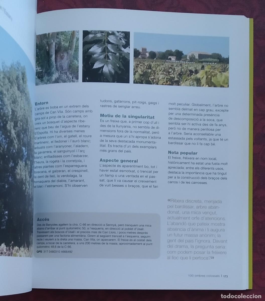 Libros de segunda mano: Arbres remarcables de Catalunya. 100 ombres colossals. Mart&iacute; Boada & Arnau Boada. Com nou! - Foto 2