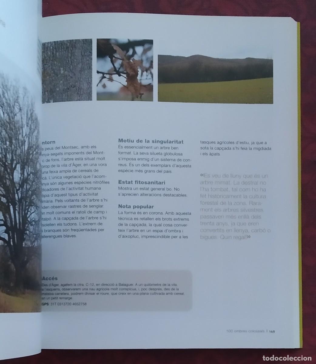 Libros de segunda mano: Arbres remarcables de Catalunya. 100 ombres colossals. Mart&iacute; Boada & Arnau Boada. Com nou! - Foto 3