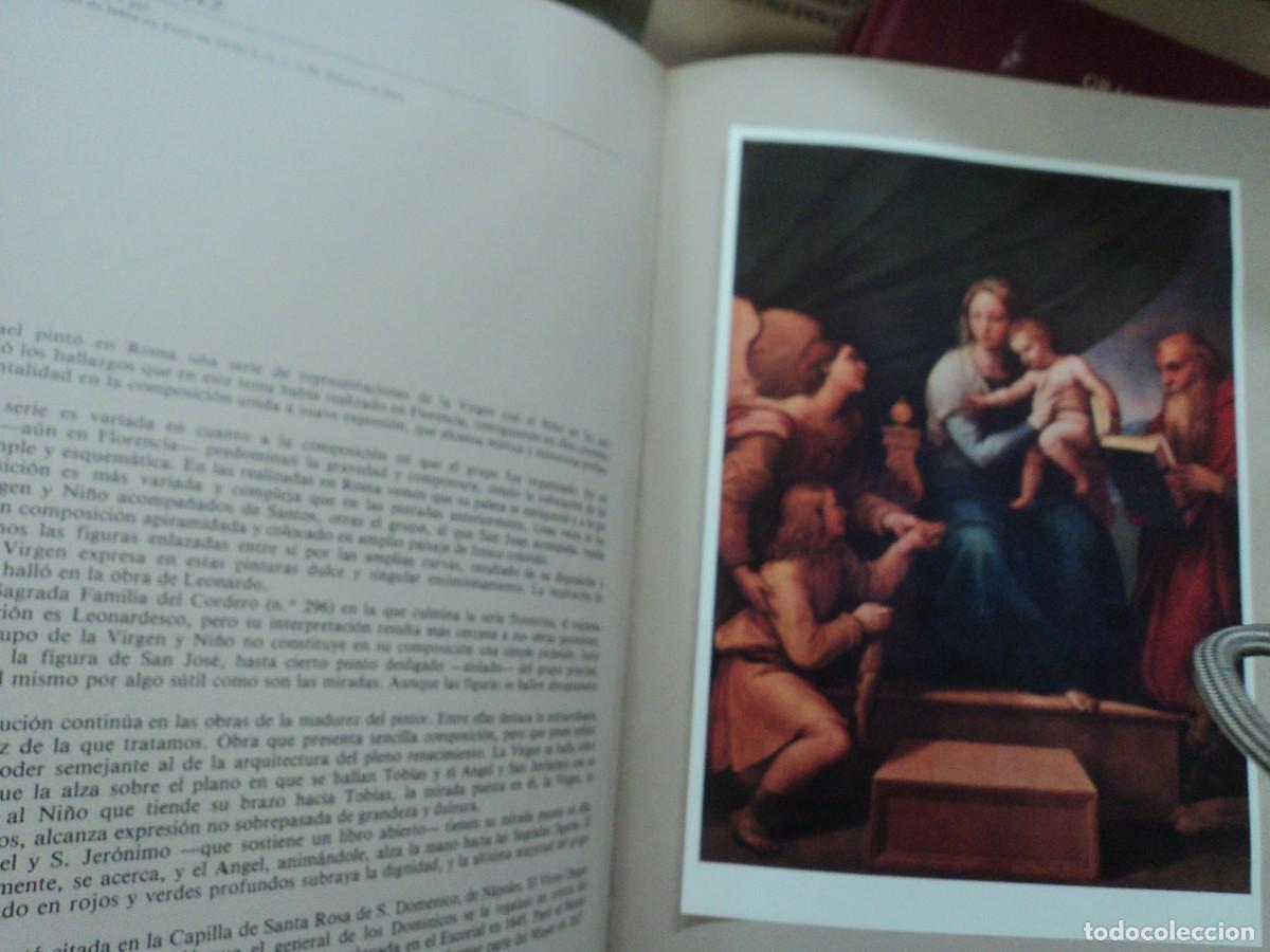 Libros de segunda mano: Museo del Prado - Grandes Pinacotecas - siete tomos - Foto 7