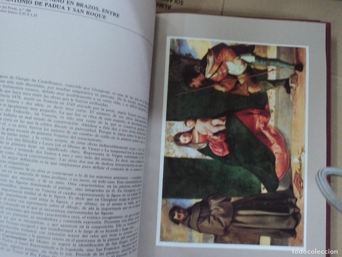 Libros de segunda mano: Museo del Prado - Grandes Pinacotecas - siete tomos - Foto 11