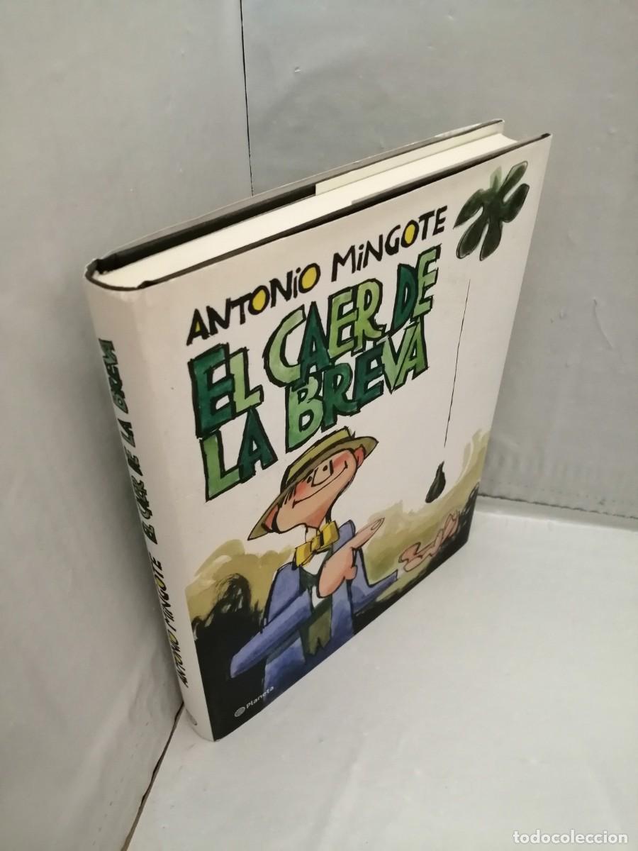 Libros de segunda mano: EL CAER DE LA BREVA (Primera edici&oacute;n, tapa dura) - Foto 10