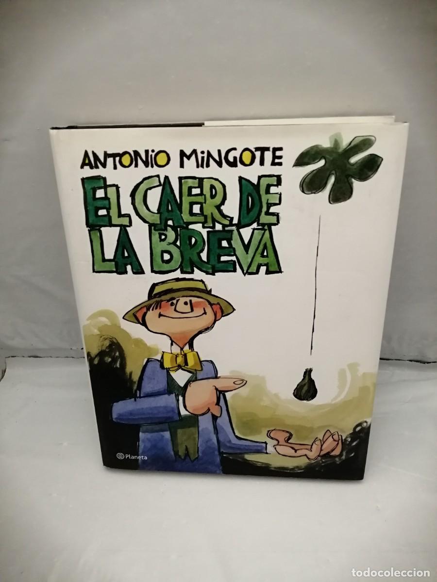 Libros de segunda mano: EL CAER DE LA BREVA (Primera edici&oacute;n, tapa dura) - Foto 1