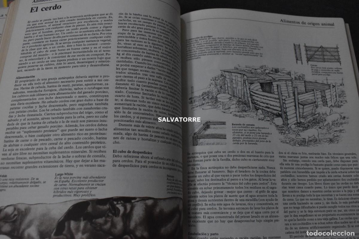 Libros de segunda mano: JOHN SEYMOUR LA VIDA EN EL CAMPO EDITORIAL BLUME - Foto 5