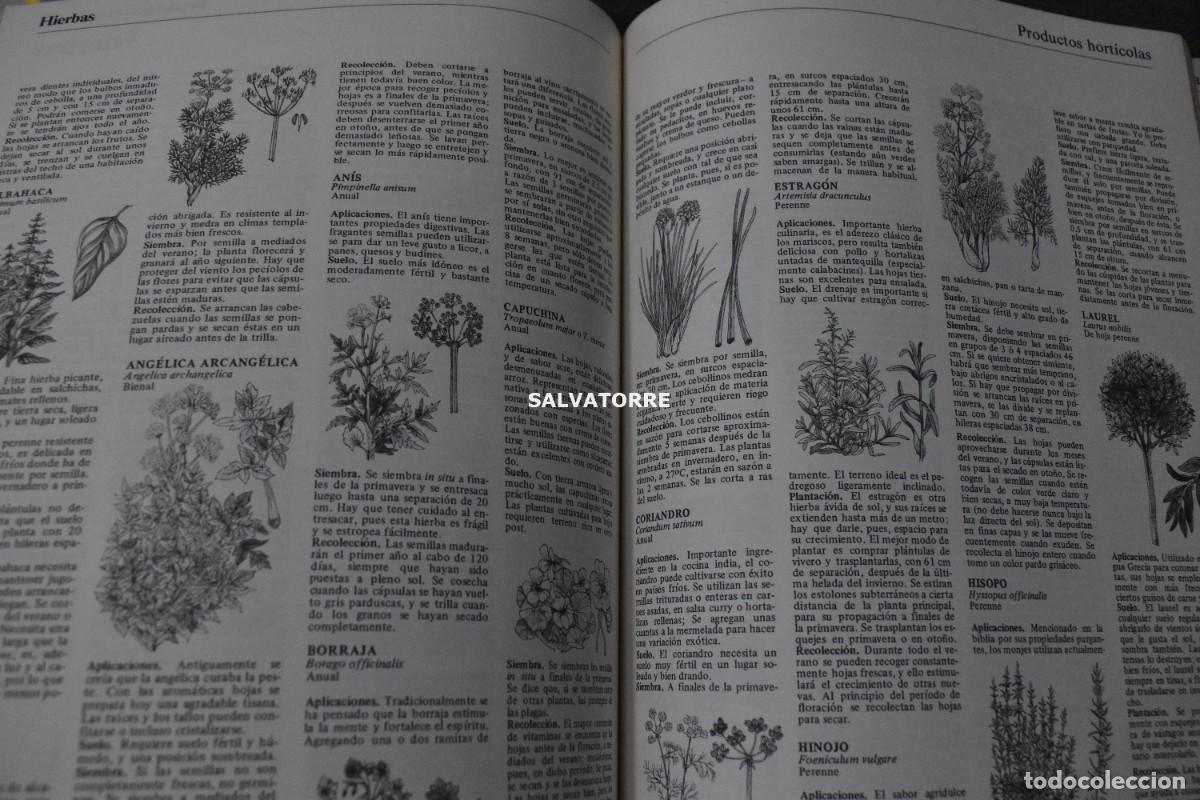 Libros de segunda mano: JOHN SEYMOUR LA VIDA EN EL CAMPO EDITORIAL BLUME - Foto 6