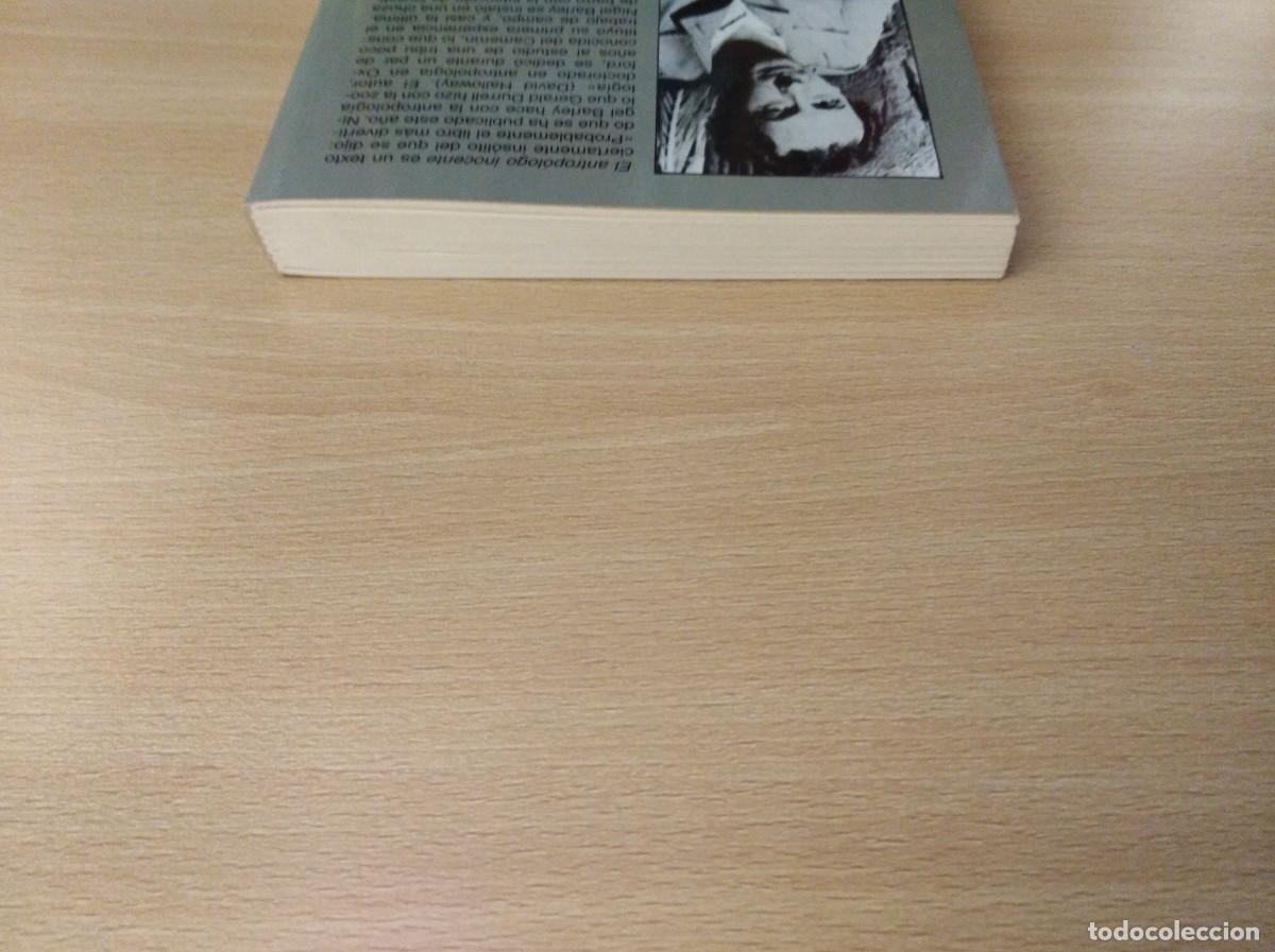Libros de segunda mano: EL ANTROP&Oacute;LOGO INOCENTE. Nigel Barley - Foto 7