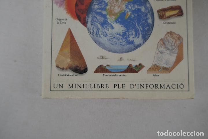 Libros de segunda mano: MINIGUIA. LA TERRA - EDITORIAL MOLINO - PROFUSAMENTE ILUSTRADA. - Foto 2