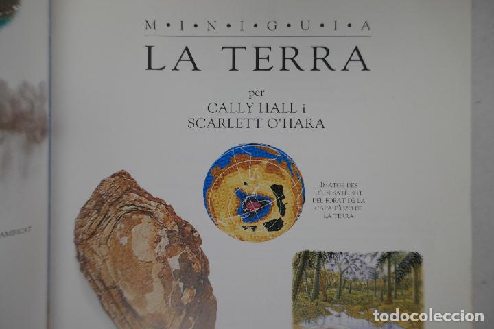 Libros de segunda mano: MINIGUIA. LA TERRA - EDITORIAL MOLINO - PROFUSAMENTE ILUSTRADA. - Foto 5