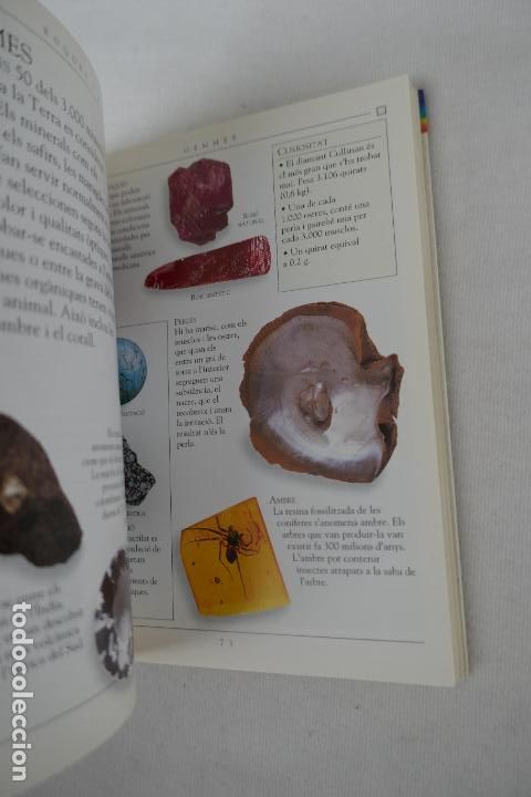 Libros de segunda mano: MINIGUIA. LA TERRA - EDITORIAL MOLINO - PROFUSAMENTE ILUSTRADA. - Foto 9