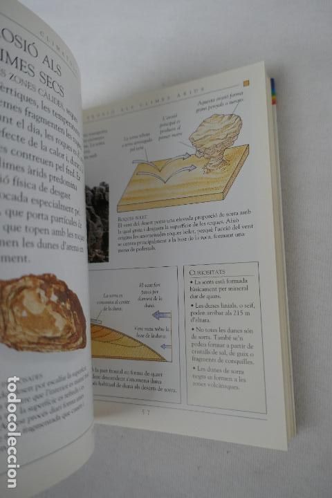 Libros de segunda mano: MINIGUIA. LA TERRA - EDITORIAL MOLINO - PROFUSAMENTE ILUSTRADA. - Foto 10