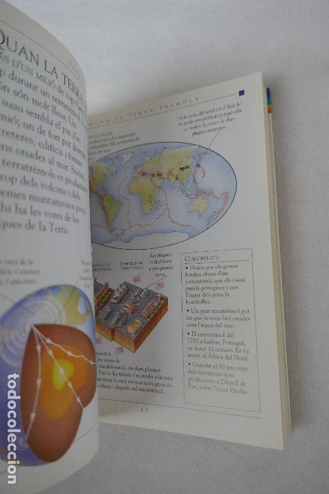Libros de segunda mano: MINIGUIA. LA TERRA - EDITORIAL MOLINO - PROFUSAMENTE ILUSTRADA. - Foto 11