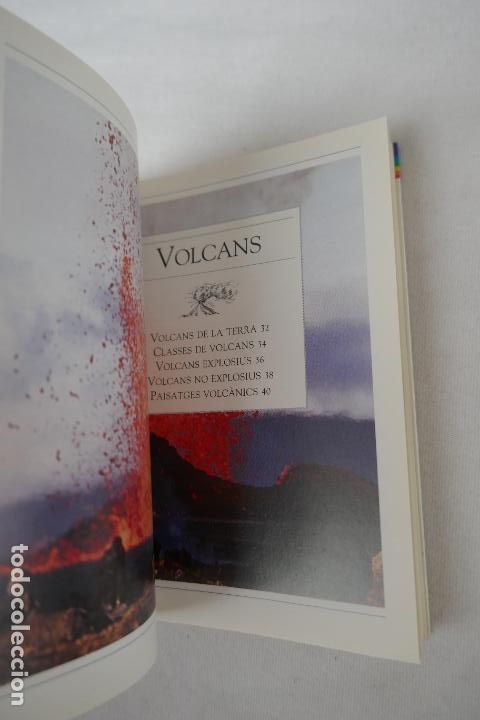Libros de segunda mano: MINIGUIA. LA TERRA - EDITORIAL MOLINO - PROFUSAMENTE ILUSTRADA. - Foto 12