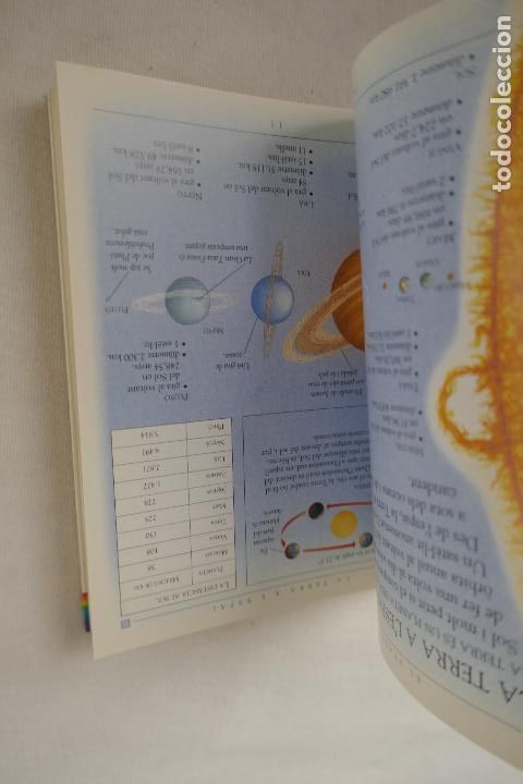 Libros de segunda mano: MINIGUIA. LA TERRA - EDITORIAL MOLINO - PROFUSAMENTE ILUSTRADA. - Foto 13