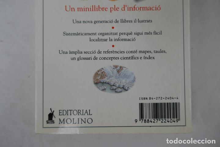 Libros de segunda mano: MINIGUIA. LA TERRA - EDITORIAL MOLINO - PROFUSAMENTE ILUSTRADA. - Foto 16