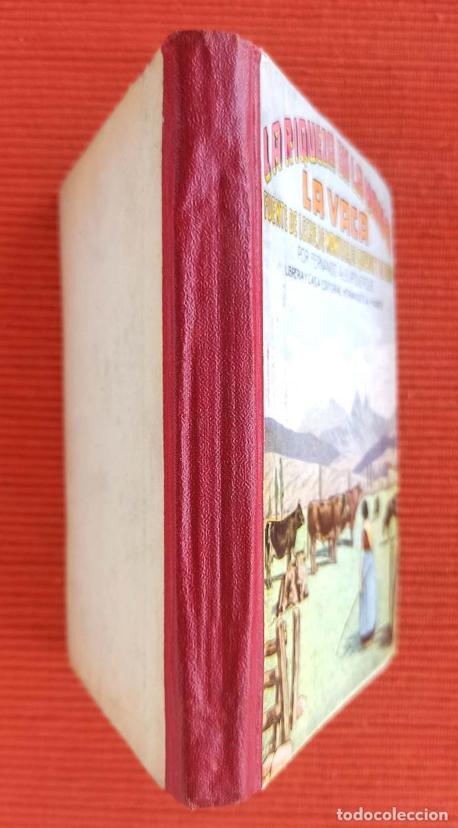 Libros de segunda mano: LA RIQUEZA EN LA MANO LA VACA - FERNANDO ALBURQUERQUE - Foto 2
